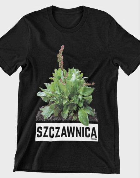 Szczawnica - Koszulka unisex